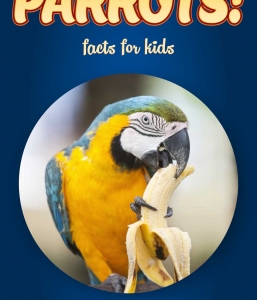 Parrot Facts – Kids Non Fiction Book (Ages 6-8)