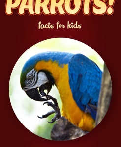 Parrot Facts – Kids Non Fiction Book (Ages 9-12)