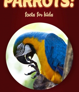 Parrot Facts – Kids Non Fiction Book (Ages 9-12)