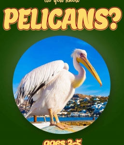 Pelican Facts For Kids Ages 3-5 “Do You Know Pelicans?” Non Fiction Picture Book