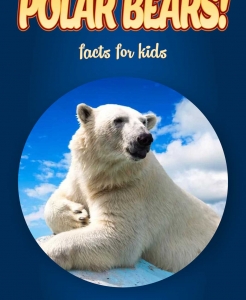 Polar Bear Facts – Kids Non Fiction Book (Ages 6-8)