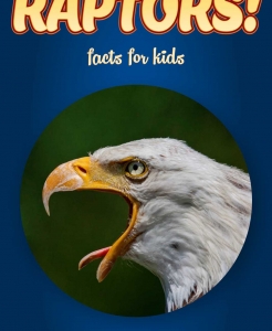 Raptor Facts – Kids Non Fiction Book (Ages 6-8)