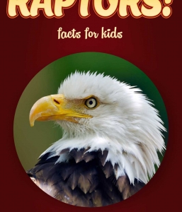 Raptor Facts – Kids Non Fiction Book (Ages 9-12)