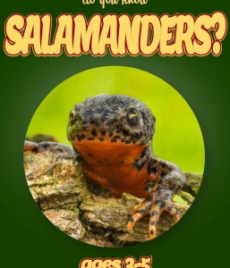 Salamander Facts For Kids Ages 3-5 “Do You Know Salamanders?” Non Fiction Book