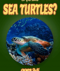 Sea Turtle Facts For Kids Ages 3-5 “Do You Know Sea Turtles?” Non Fiction Book