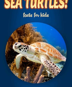 Sea Turtle Facts – Kids Non Fiction (Ages 6-8)