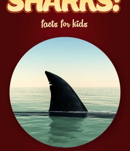 Shark Facts – Kids Non Fiction Book (Ages 9-12)