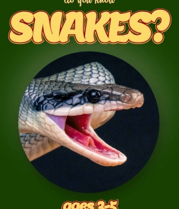 Snake Facts For Kids Ages 3-5 “Do You Know Snakes?” Non Fiction Picture Book