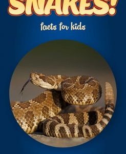 Snake Facts – Kids Non Fiction Book (Ages 6-8)