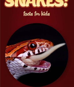 Snake Facts – Kids Non Fiction Book (Ages 9-12)