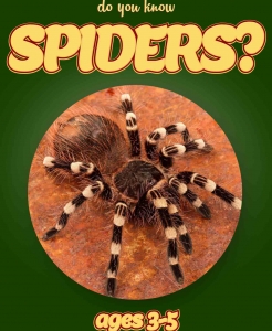 Spider Facts For Kids Ages 3-5 “Do You Know Spiders?” Non Fiction Picture Book