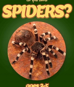 Spider Facts For Kids Ages 3-5 “Do You Know Spiders?” Non Fiction Picture Book