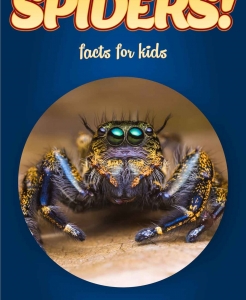 Spider Facts – Kids Non Fiction (Ages 6-8)