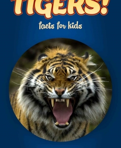 Tiger Facts – Kids Non Fiction Book (Ages 6-8)