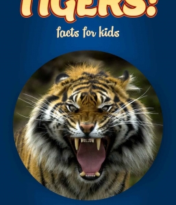 Tiger Facts – Kids Non Fiction Book (Ages 6-8)